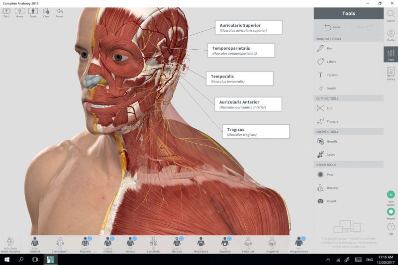 download complete anatomy for windows